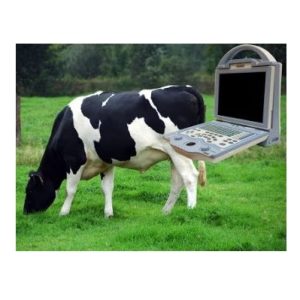 Childrens Cot Bed Bd 072