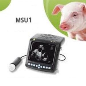 LALAPHANSI FOAM/SPONGE MATTRESS 1370×100