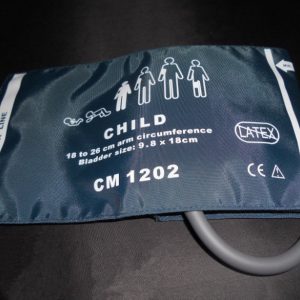 Autoclave Horizontal Loading 300L