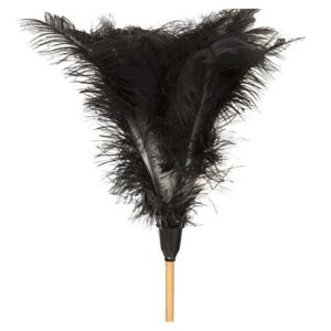 Feather Duster – Long -1840mm