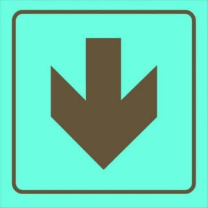 Photoluminescent Sign – Red Arrow Down – 190 x 190mm – SIGNPRA(D)190