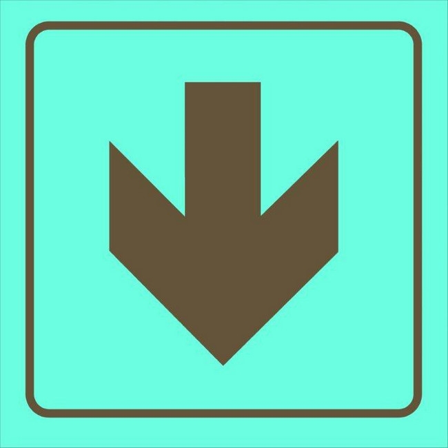 Photoluminescent Sign - Red Arrow Down - 190 x 190mm - SIGNPRA(D)190