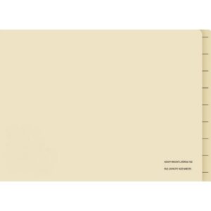 Lateral Document Files – Foolscap – Heavy Weight – 233gsm – A4 – Pack of 200 – FILLHW200