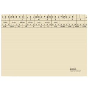 Retrieval Document Files – Includes Clip – Expanda Heavy Weight – 326gsm – A4 – Pack of 60 – FIL500C