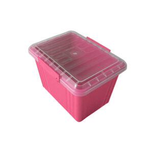 2.2L Lock Box Pink