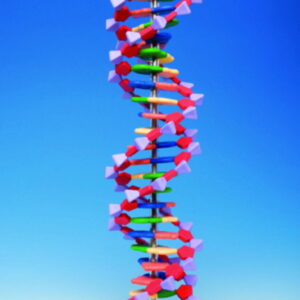 Protein Kit RNA-24 PS