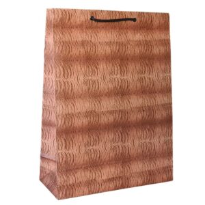 Big Cat kraft with cord handles – 300 x 120 x 400mm