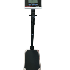 Electronic BMI Scale