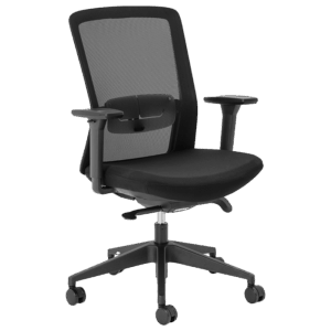 Aila Ergo Mid Back Chair