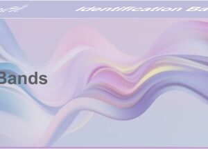 Identification Bands Adult – 100s Blue