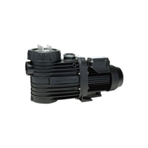 Pool Pump And Motor 0.45Kw Speck BaduÂ® Porpoise