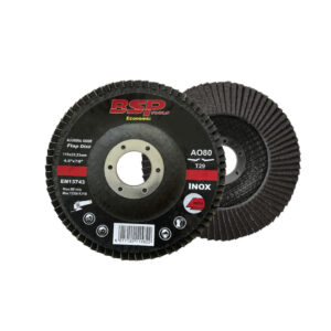 Binic Eco Flap Disc 115X22-24X16Mm (40) 10Pc