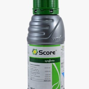 Bata Safari Quest Ladies Sand/Brown Size 5