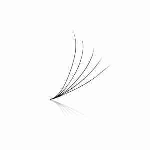 5D Pre-made Volume Fans – Loose 500’s