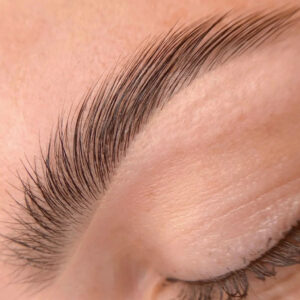 Refectocil Brow Lamination – Online Course