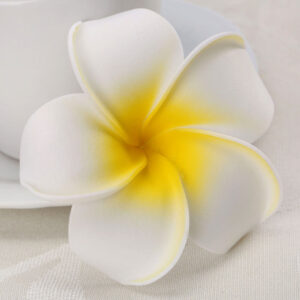 Frangipani foam flower Yellow & White 8cm