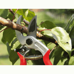 Castellari Universale Pruning Shear