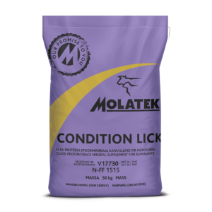 Molatek Kondisielek 50Kg